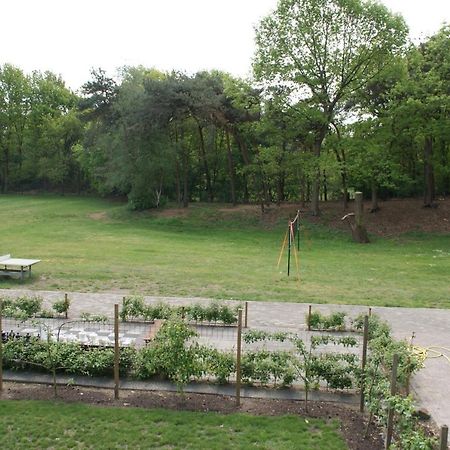 Vakantieboerderij 'T Zand - Appartement Heeswijk-Dinther Zewnętrze zdjęcie